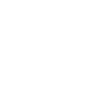 professionnel professionnel